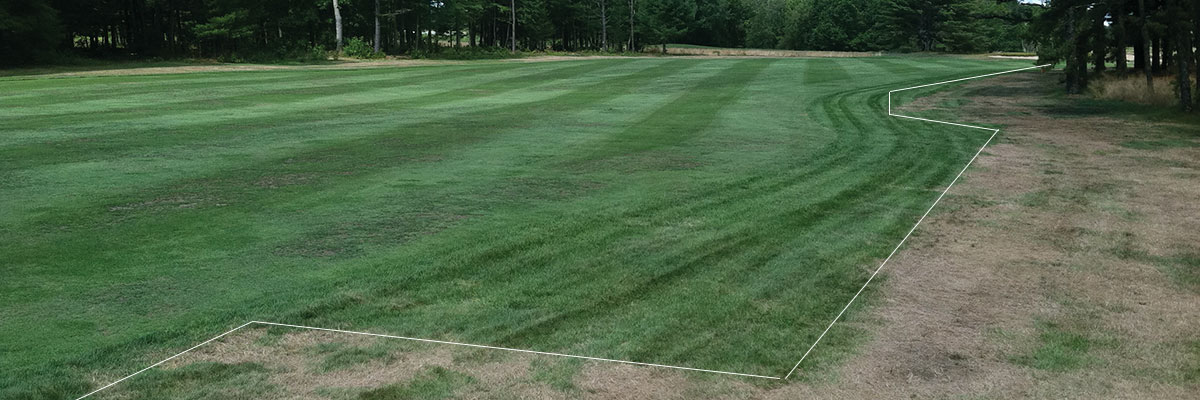 Stay Ahead Of Hydrophobic Soils With These 3 Options