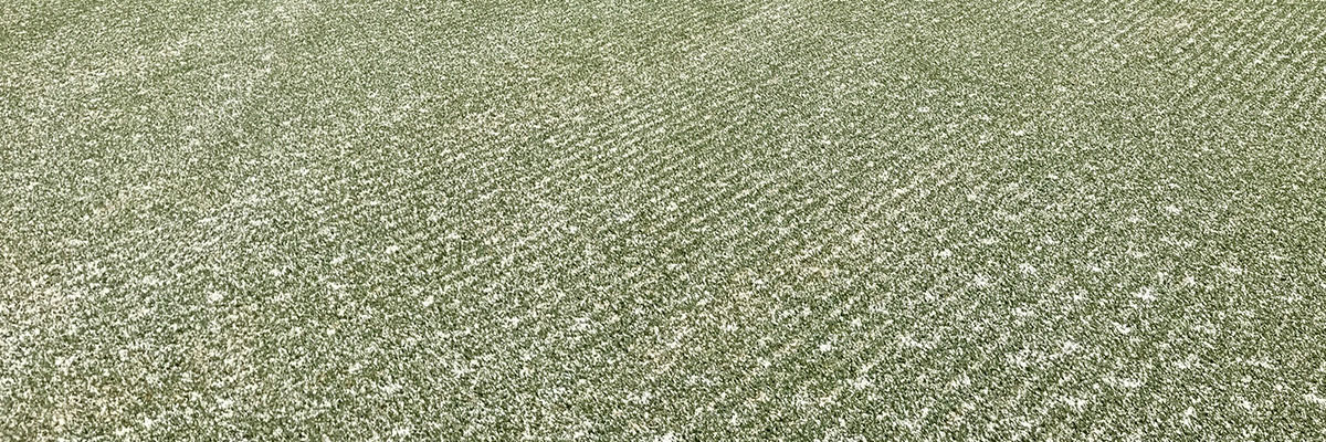 turf aerification