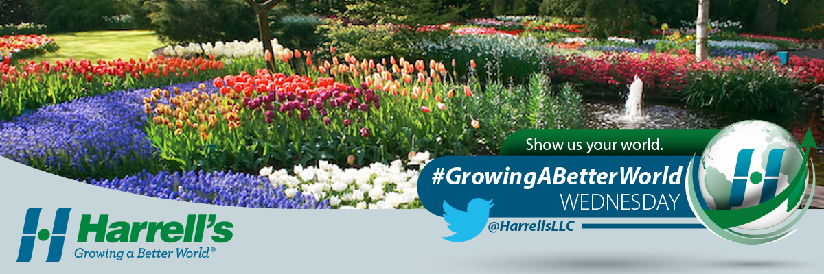 Growing a Better World Wednesday Contest