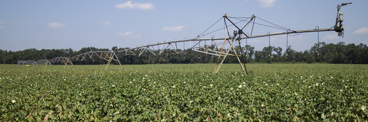 sprinkler system on crops
