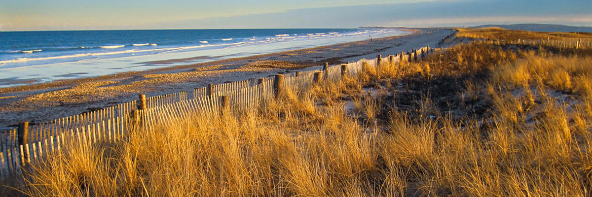 Dunes Preservation Powered by POLYON