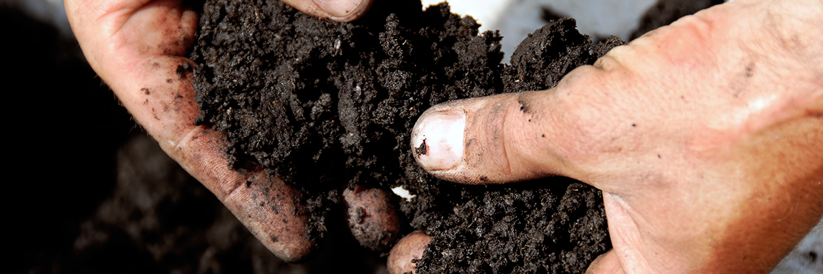 hands full of soil