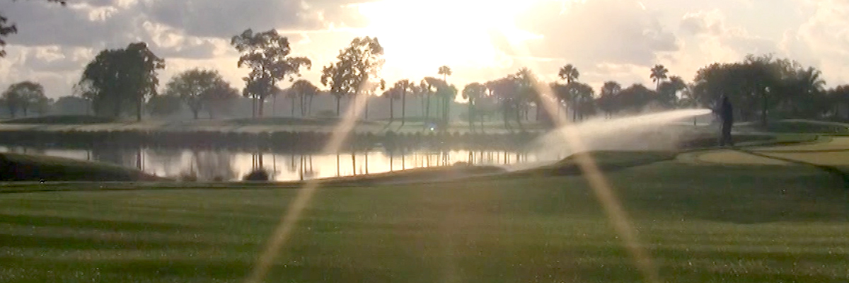 Golf Course with sun shining