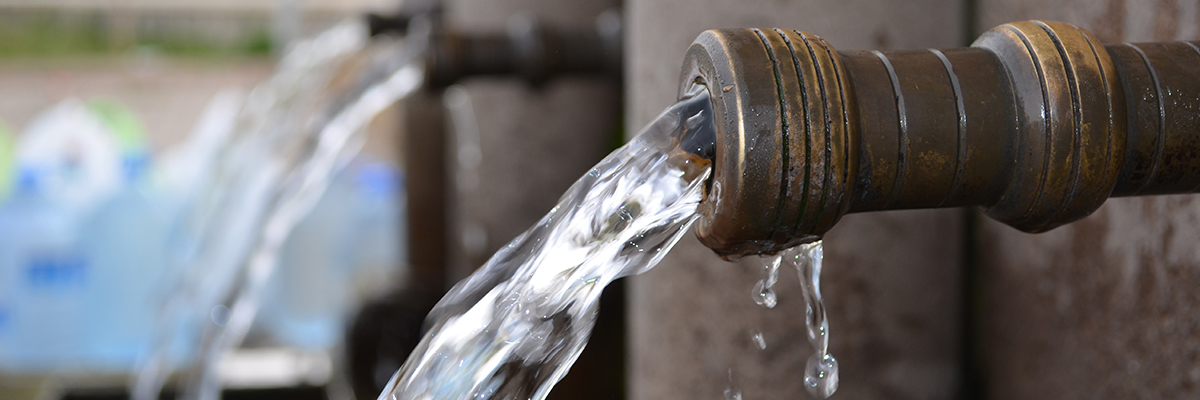 Can Irrigation Water be <em>Too Pure</em>?