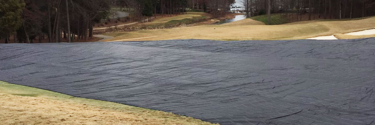 Bundle Up Those Greens, Winter is Coming