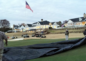 Bundle Up Those Greens, Winter is Coming