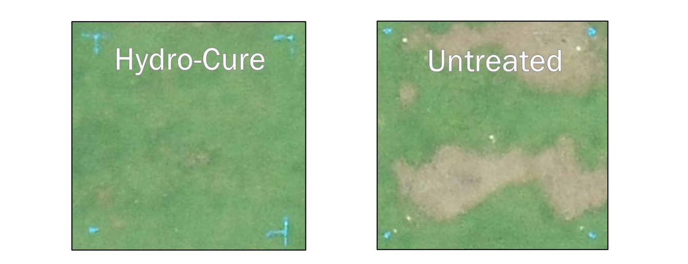 Localized Dry Spot Comparison