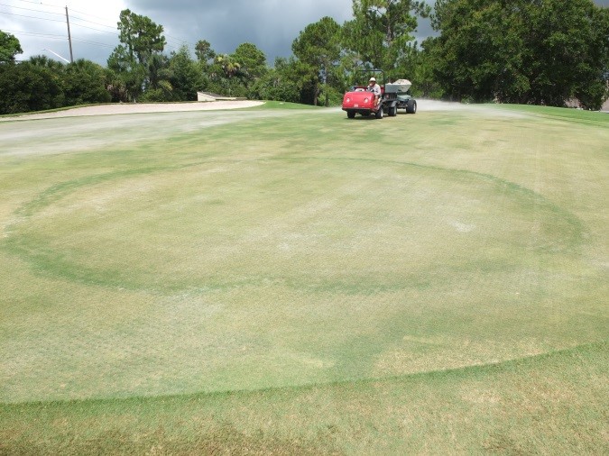 Winter Fertilization