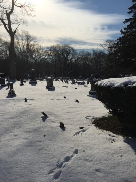 Winter Fertilization