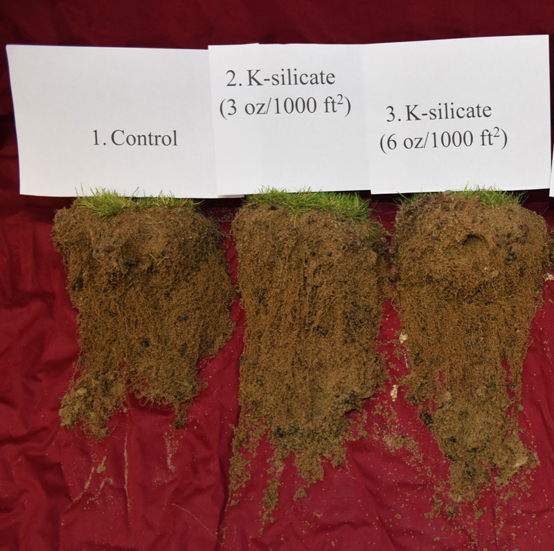 Turf Management Basics - Silicon: A Beneficial Element