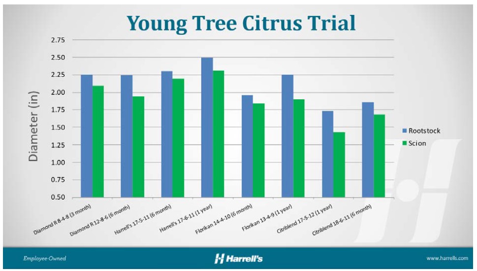 POLYON® Controlled-Release Fertilizer St. Helena Rootstock Survey Trial